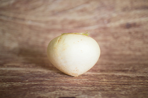 Navet blanc  BIO