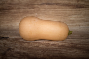 Courge butternut  BIO