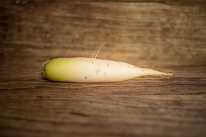 Radis blanc avec feuille  BIO