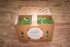 Super Salade 100 g 