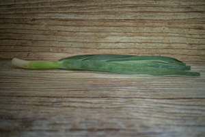 Poireau  BIO