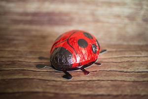 Coccinelle en chocolat 40g BIO
