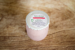 yogourt brebis baies des bois 120g BIO